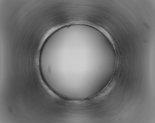 X0000113361005200910061036