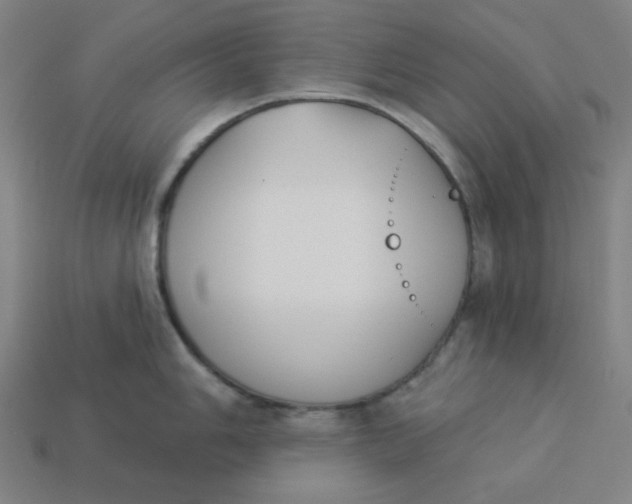 X0000113361006200910061036