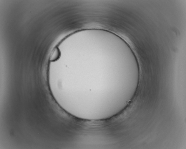 X0000113361008200910061036