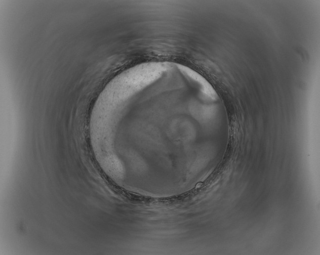 X0000113361009200910061035