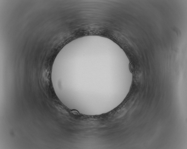 X0000113361010200910061035