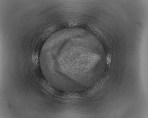 X0000113361011200910061035