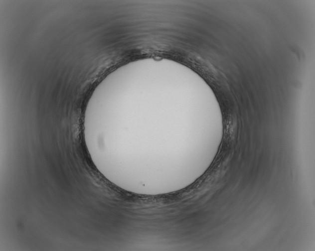 X0000113361012200910061035