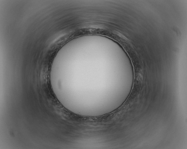 X0000113361014200910061035