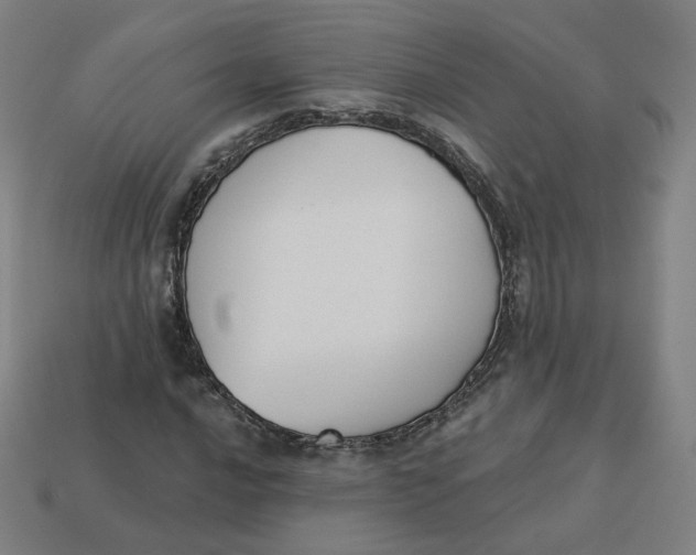 X0000113361016200910061035