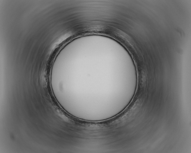 X0000113361018200910061035