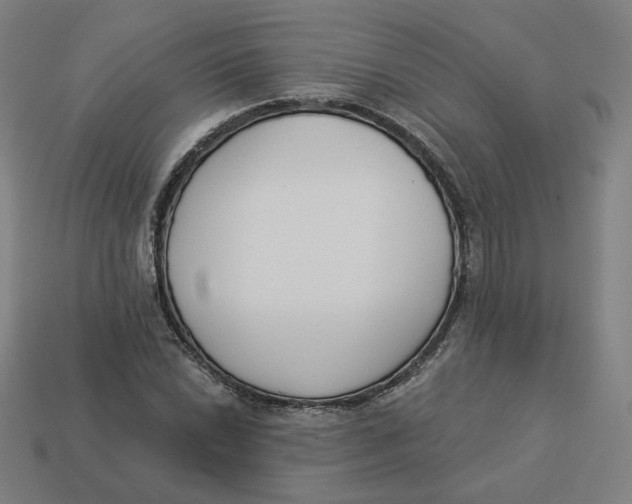 X0000113361022200910061035