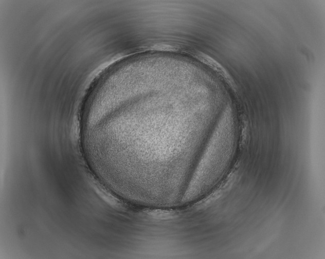 X0000113361027200910061035