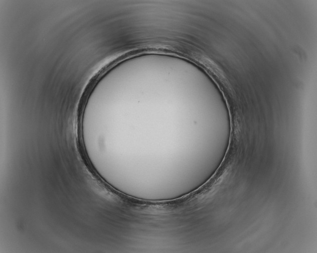 X0000113361028200910061035