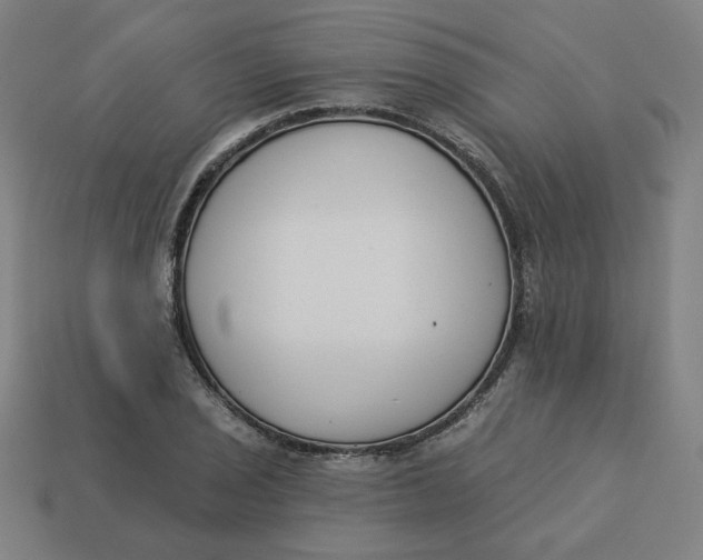 X0000113361029200910061035