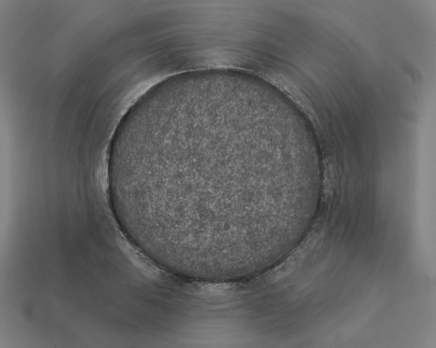 X0000113361031200910061035