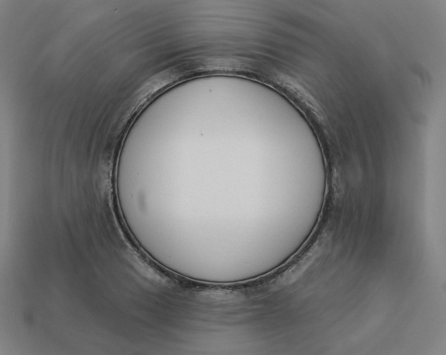 X0000113361033200910061035