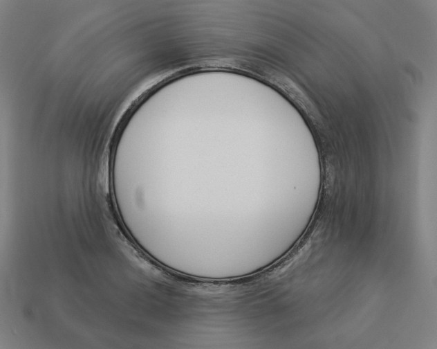 X0000113361036200910061035