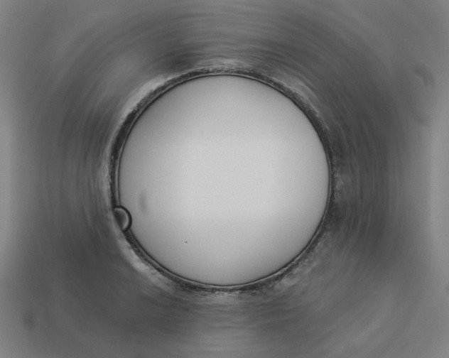 X0000113361038200910061035