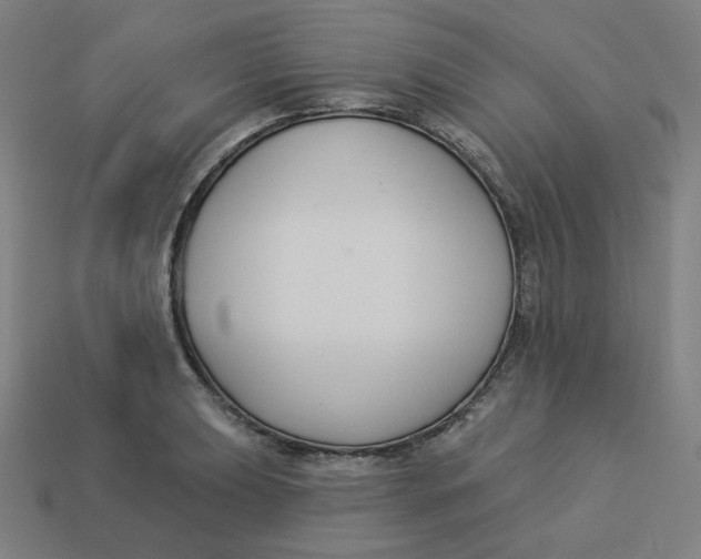 X0000113361039200910061035