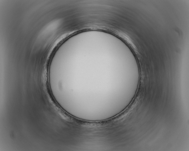 X0000113361040200910061035