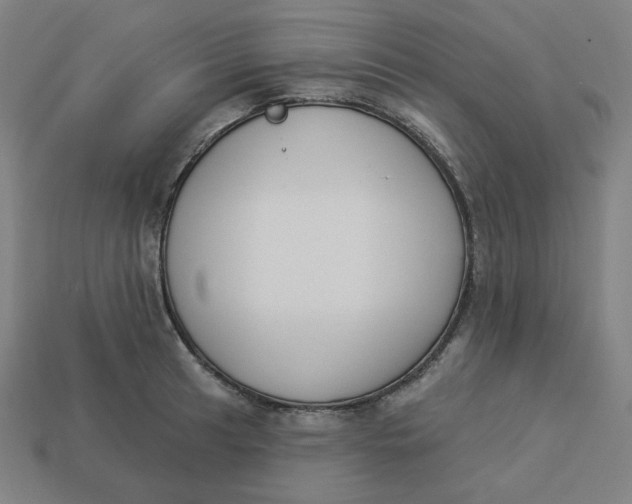 X0000113361041200910061035