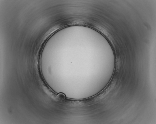 X0000113361042200910061035