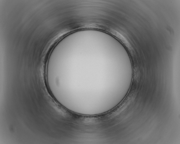 X0000113361043200910061035