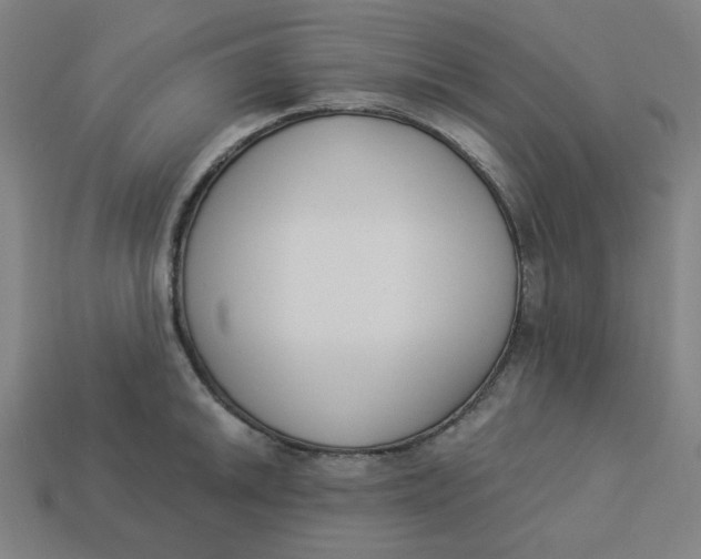 X0000113361046200910061035