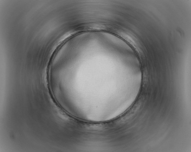 X0000113361047200910061036