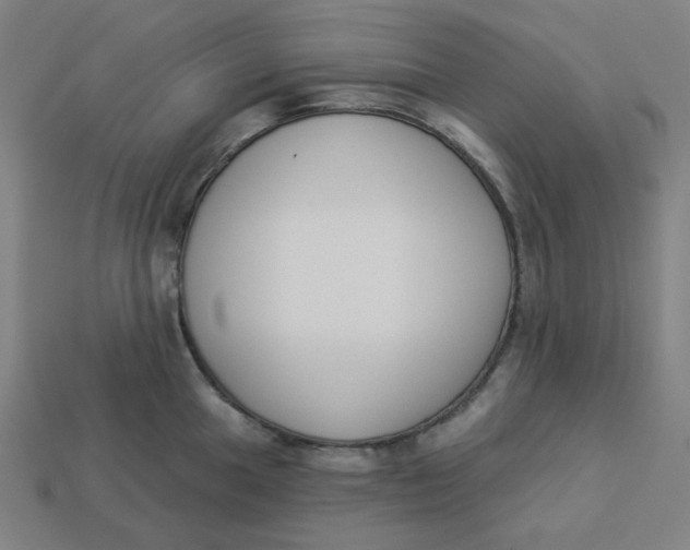 X0000113361049200910061036