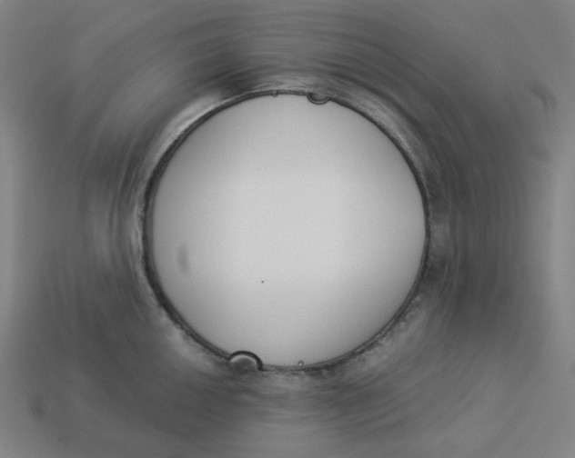 X0000113361050200910061036