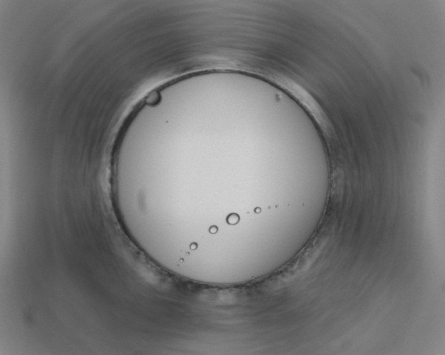 X0000113361051200910061036