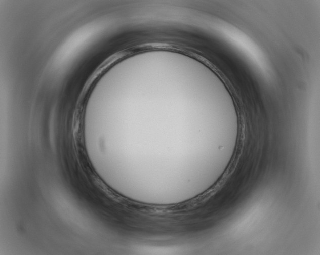 X0000113361052200910061036