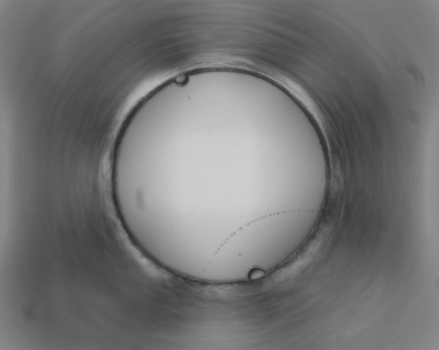 X0000113361053200910061036