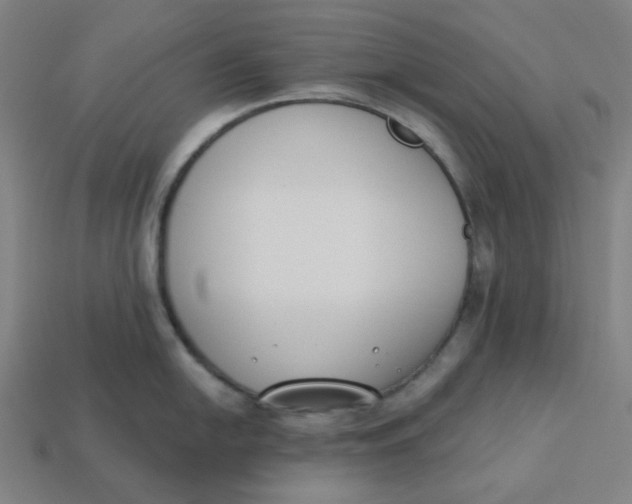 X0000113361054200910061036