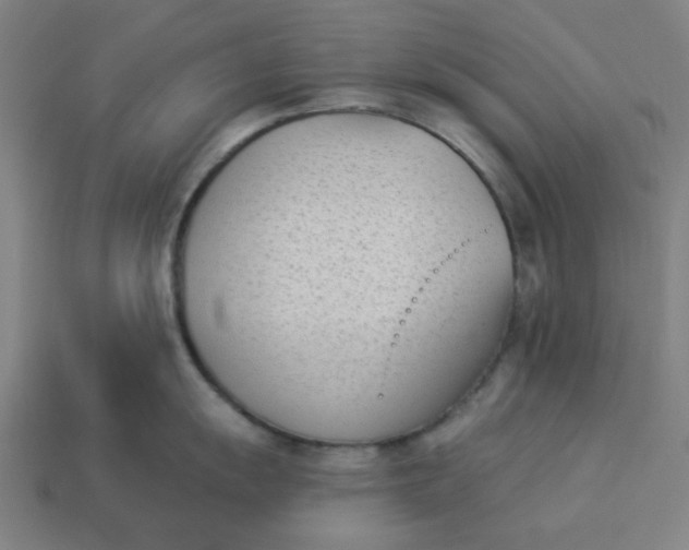 X0000113361055200910061036