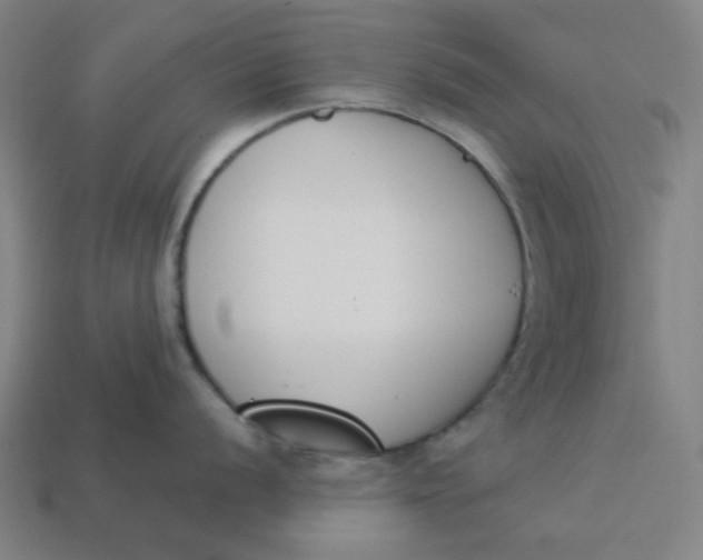 X0000113361056200910061036