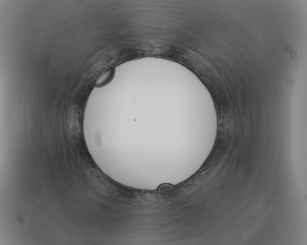 X0000113361058200910061035