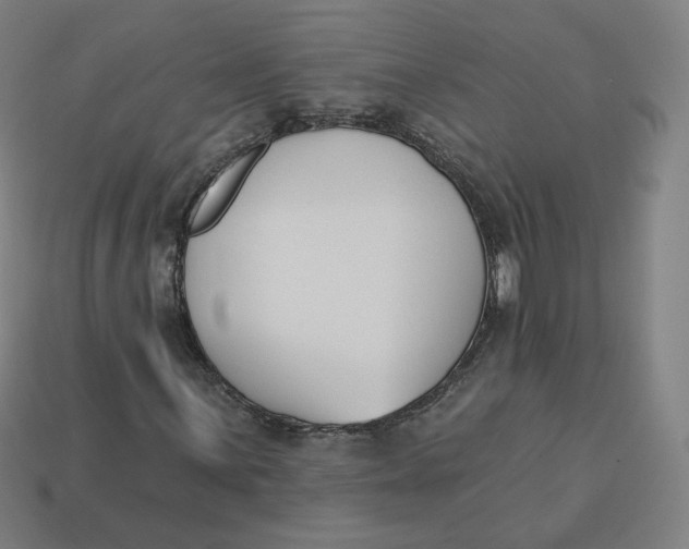 X0000113361059200910061035