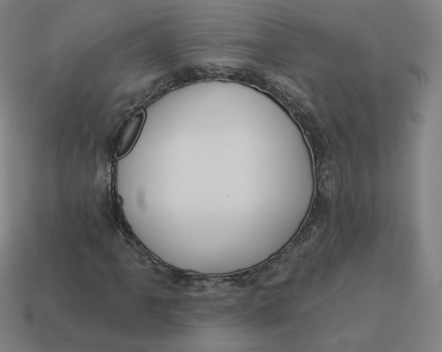 X0000113361061200910061035