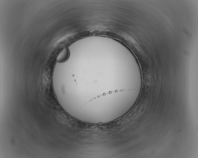 X0000113361063200910061035