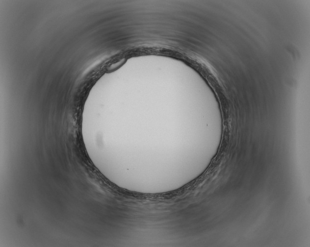 X0000113361064200910061035