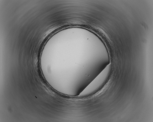 X0000113361065200910061035