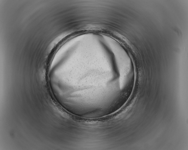 X0000113361066200910061035