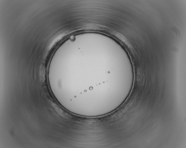 X0000113361067200910061035