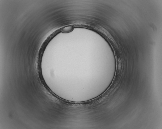 X0000113361068200910061035