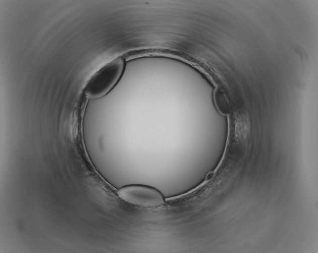 X0000113361069200910061035