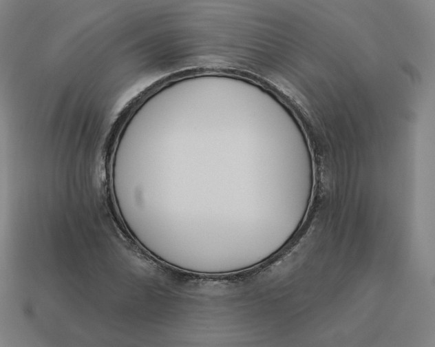 X0000113361070200910061035