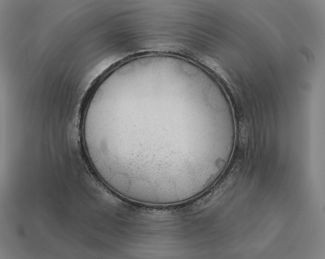 X0000113361071200910061035