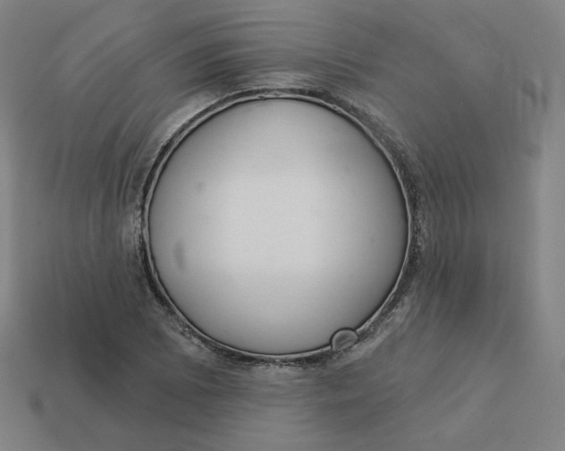 X0000113361073200910061035