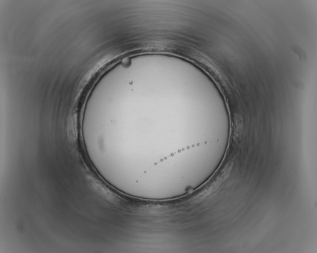 X0000113361075200910061035