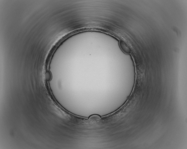 X0000113361076200910061035