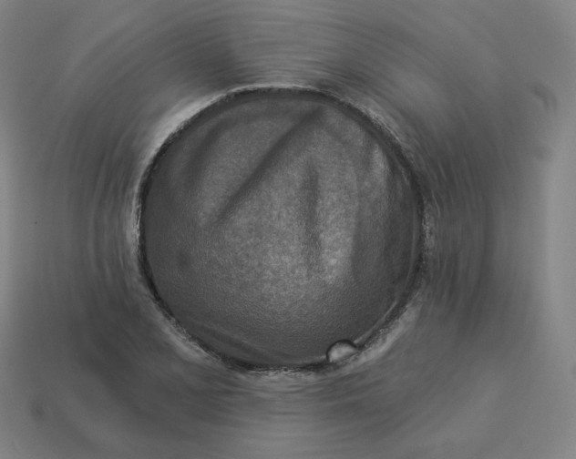 X0000113361077200910061035