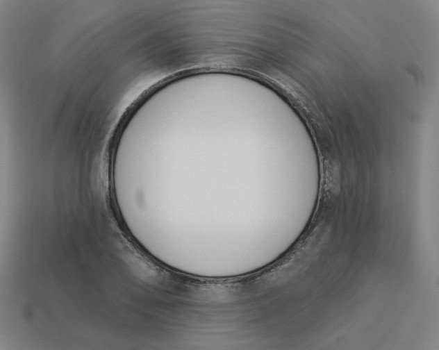 X0000113361078200910061035